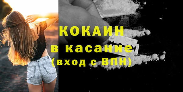 СК Каменногорск