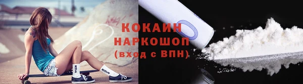 СК Каменногорск