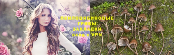 СК Каменногорск
