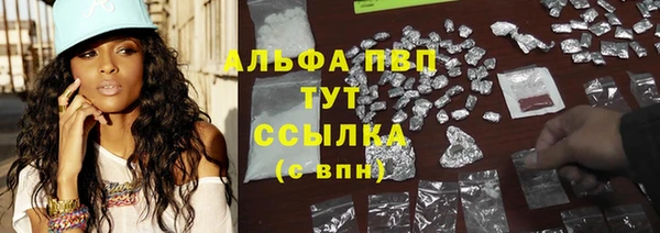 СК Каменногорск