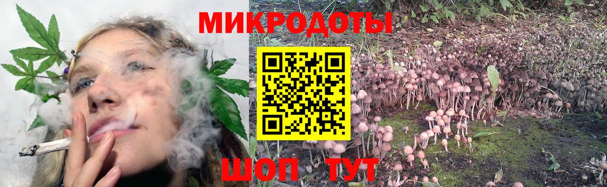 Соликамск  Псилоцибиновые грибы Psilocybe  Вход с VPN 